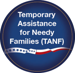 Temporary Assistance for Needy Families (TANF)